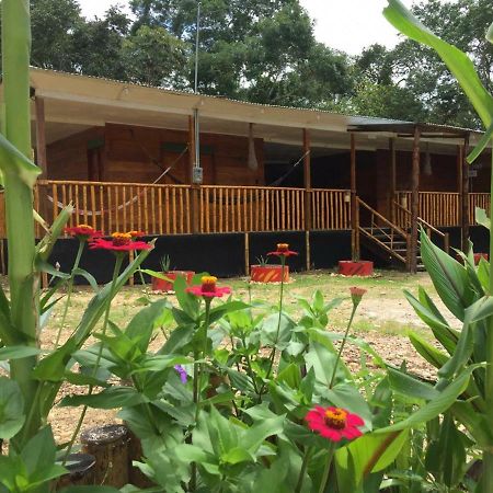 Hostal Cano Nevera La Macarena ภายนอก รูปภาพ