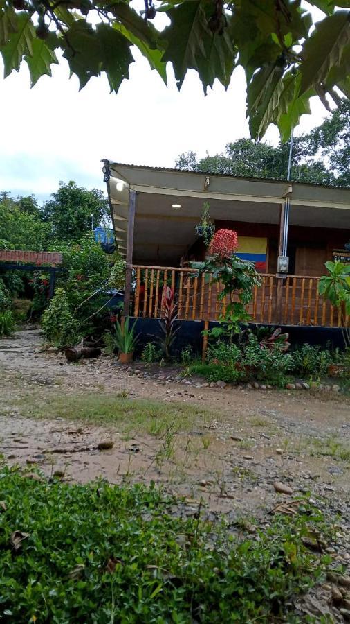 Hostal Cano Nevera La Macarena ภายนอก รูปภาพ