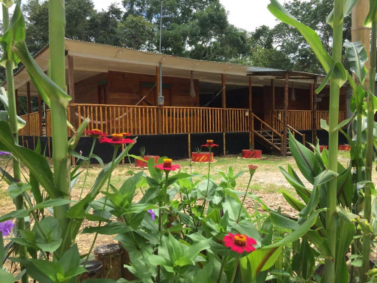 Hostal Cano Nevera La Macarena ภายนอก รูปภาพ